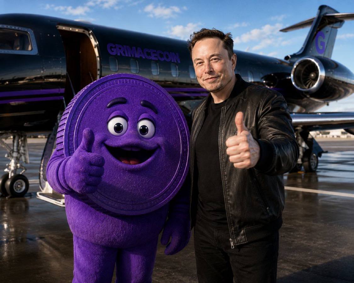 Grimace with Elon Musk and Grimacecoin jet